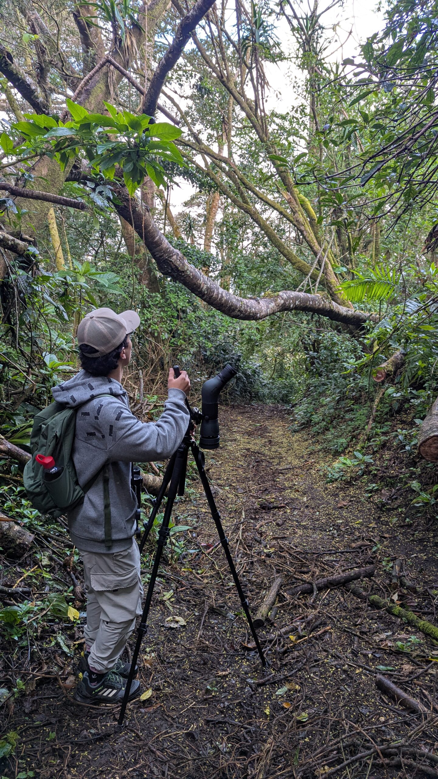 Monteverde Birding Lodge