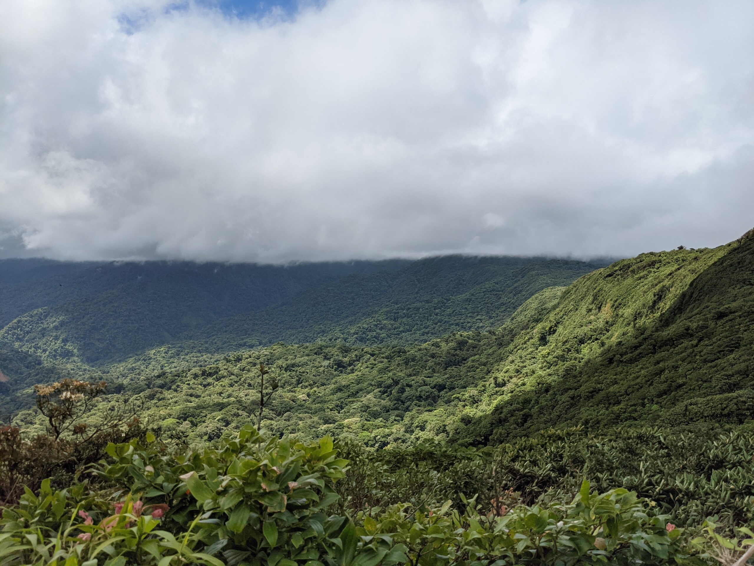 Monteverde Cloud Forest Reserve