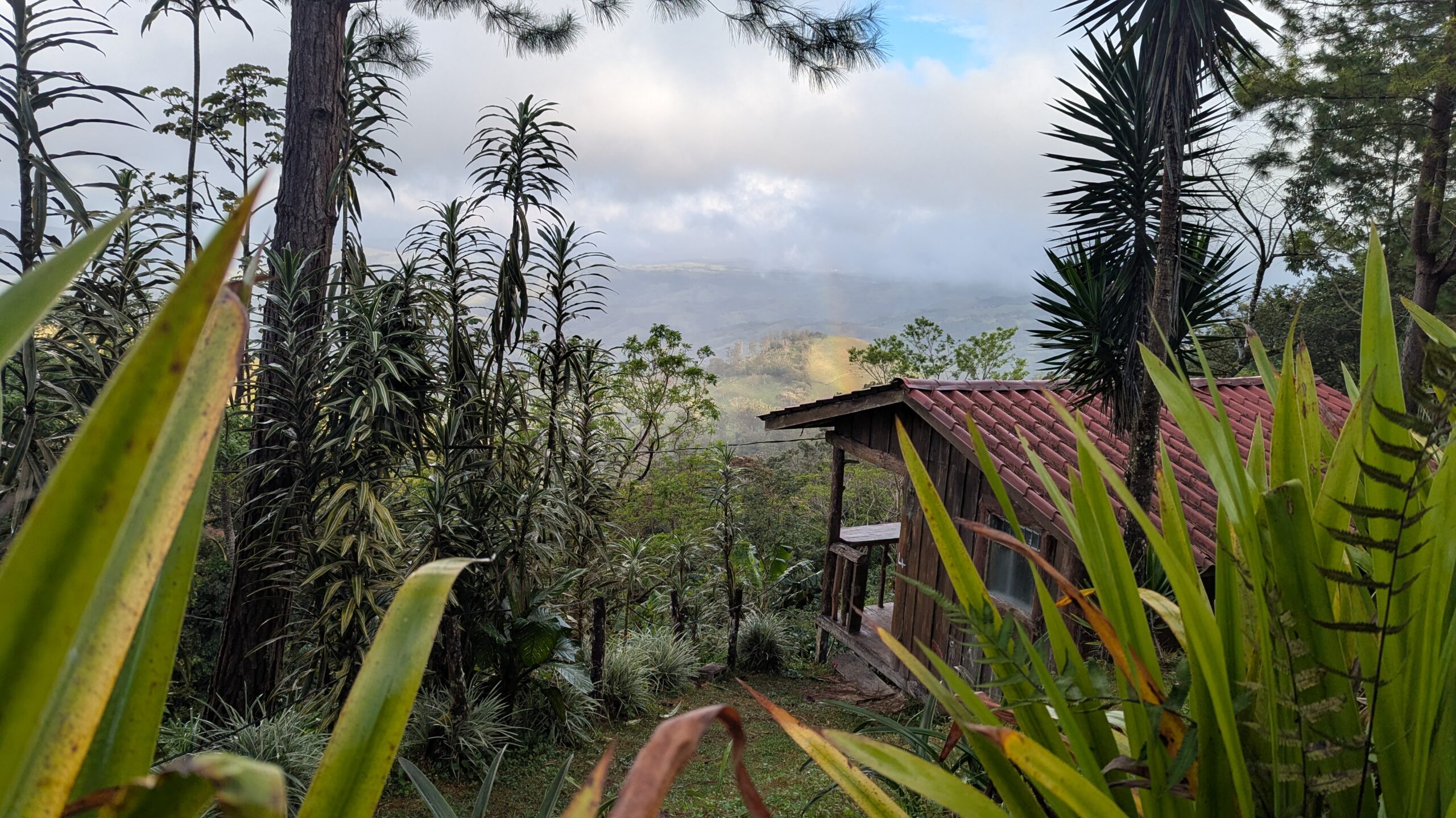 Near to Monteverde Cloud Forest